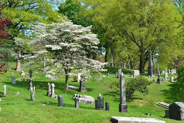 У Нью-Йорку відкрили моторошну вакансію: працівнику заплатять за проживання на кладовищі - фото 415087