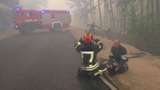 Рятувальники показали наслідки пожеж на Луганщині