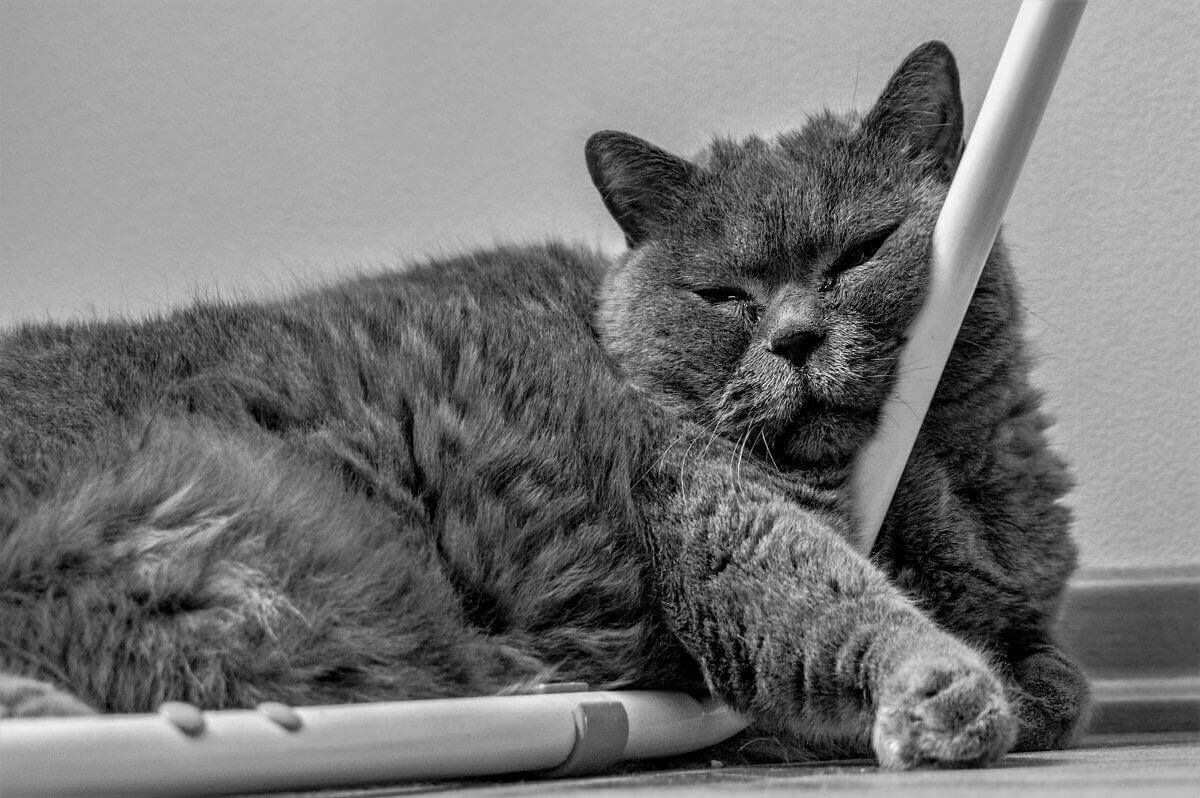 Нудні люди - фото 1