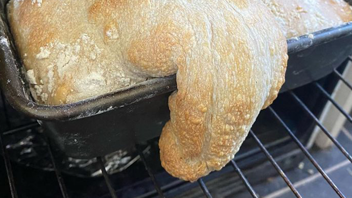 10 випадків, коли хтось вирішив готувати на карантині, але щось пішло не так