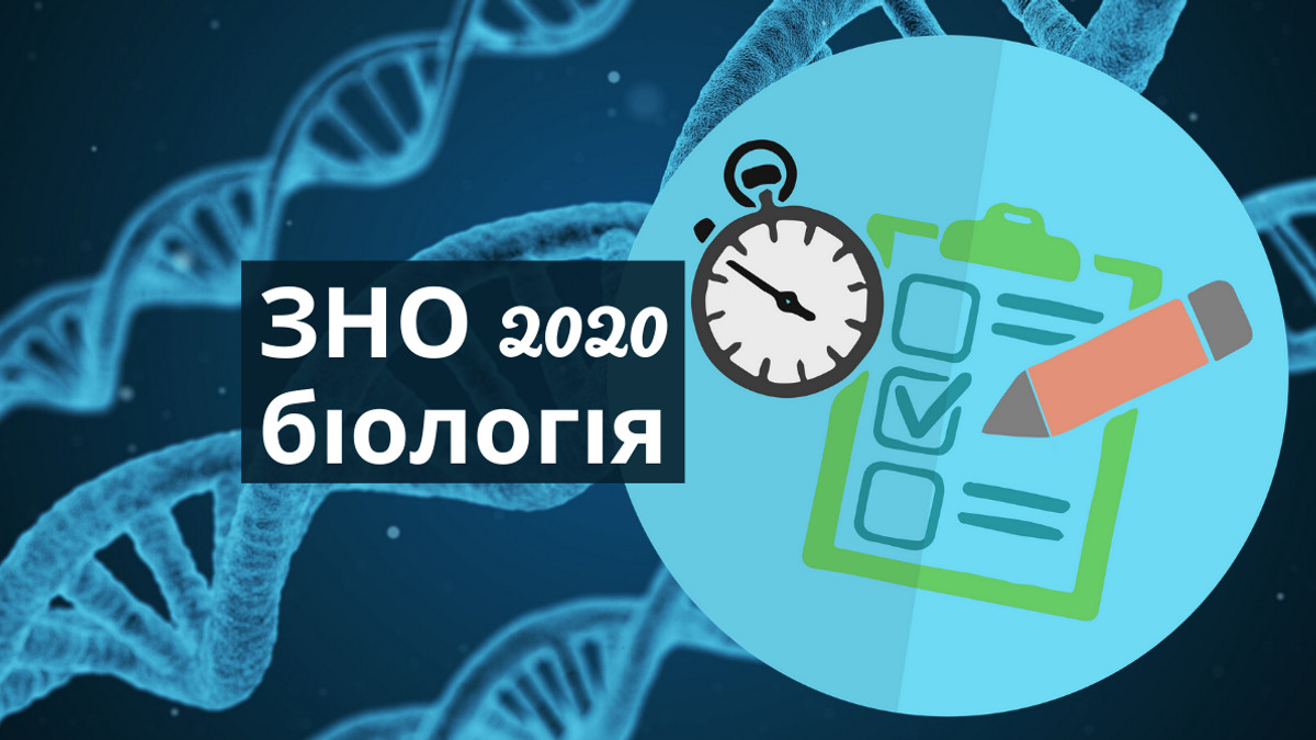 З'явилися відповіді на ЗНО з біології 2020 - фото 1