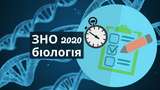 ЗНО з біології 2020: правильні відповіді на тести і завдання