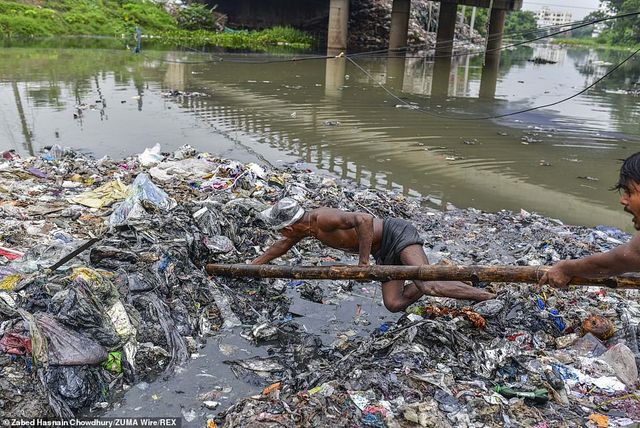 Названа найжахливіша робота у світі: шокуючі знімки - фото 415735
