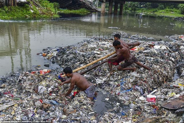 Названа найжахливіша робота у світі: шокуючі знімки - фото 415736
