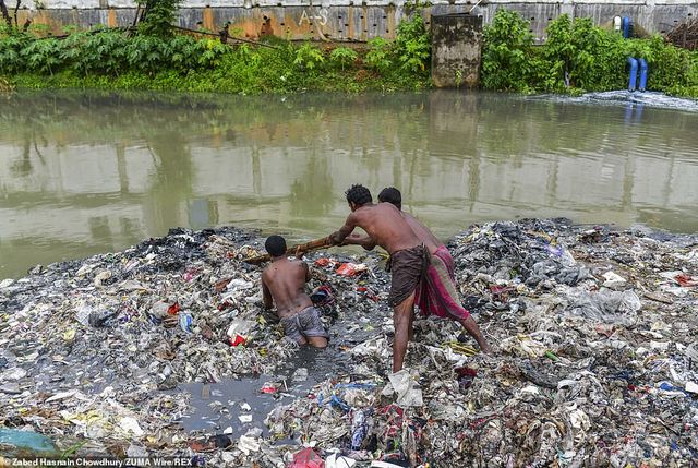 Названа найжахливіша робота у світі: шокуючі знімки - фото 415738