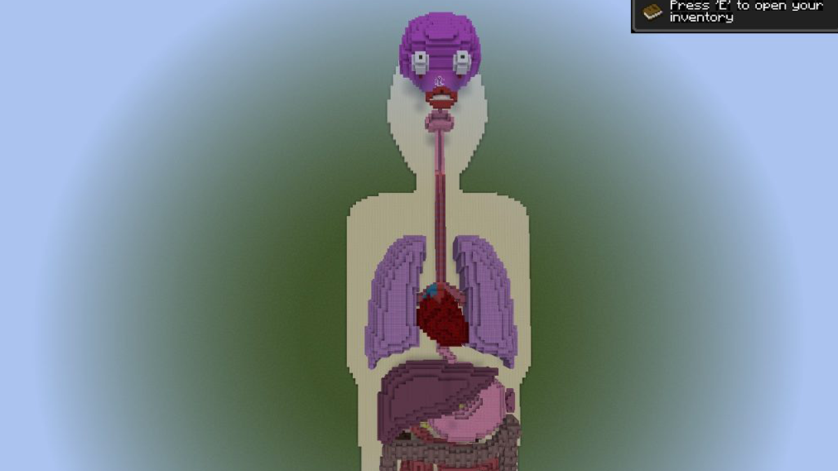 Гру Minecraft перетворили в навчальний матеріал для дітей про діабет - фото 1