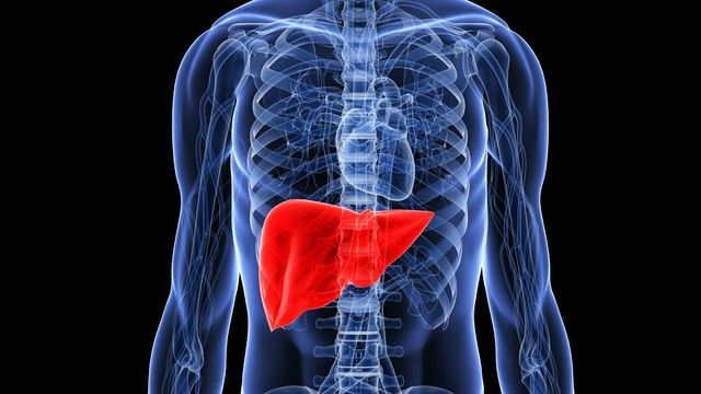 П'ять продуктів, необхідних для здоров'я печінки - фото 415831