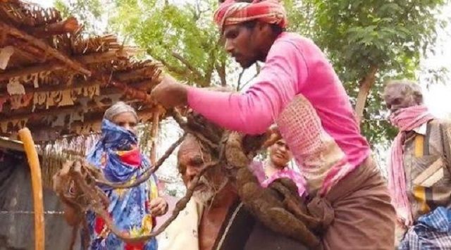 В Індії 95-річний дідусь жодного разу не стригся і відростив сім метрів волосся: фотофакт - фото 416061