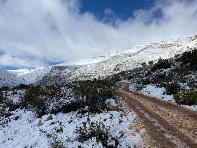 Південну Африку засипало снігом: вражаючі кадри - фото 416075