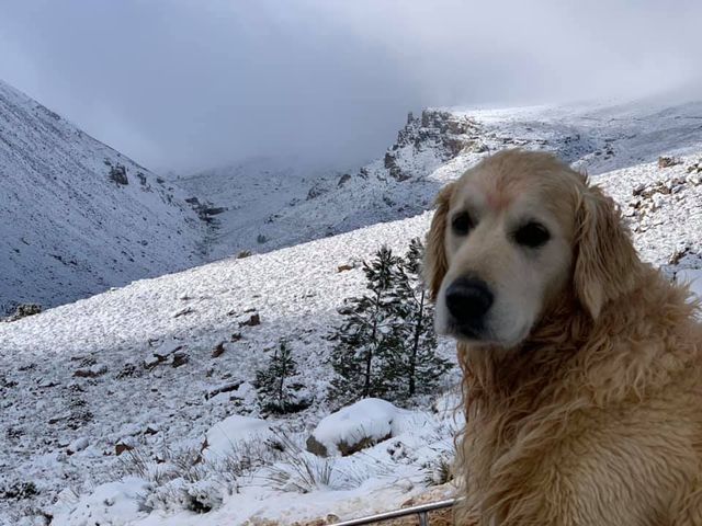 Південну Африку засипало снігом: вражаючі кадри - фото 416077