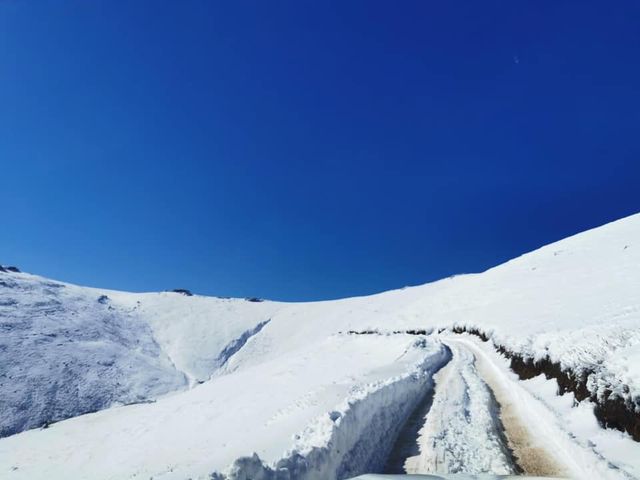 Південну Африку засипало снігом: вражаючі кадри - фото 416080