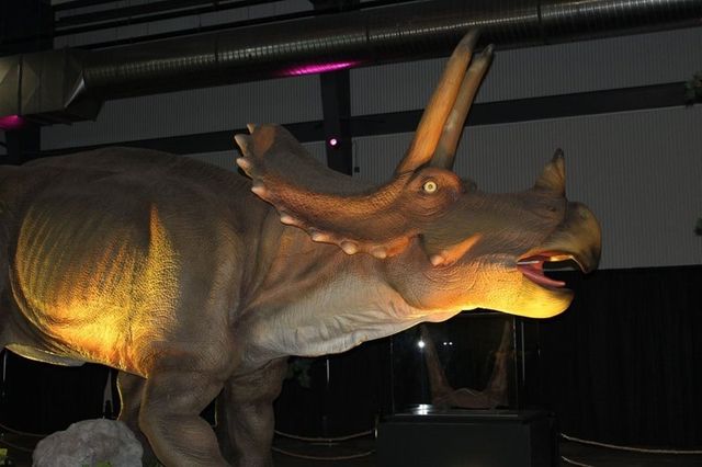 Парк Юрського періоду у себе вдома: в Канаді продають реалістичні фігури динозаврів - фото 416306