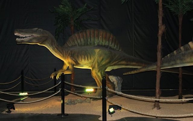 Парк Юрського періоду у себе вдома: в Канаді продають реалістичні фігури динозаврів - фото 416308