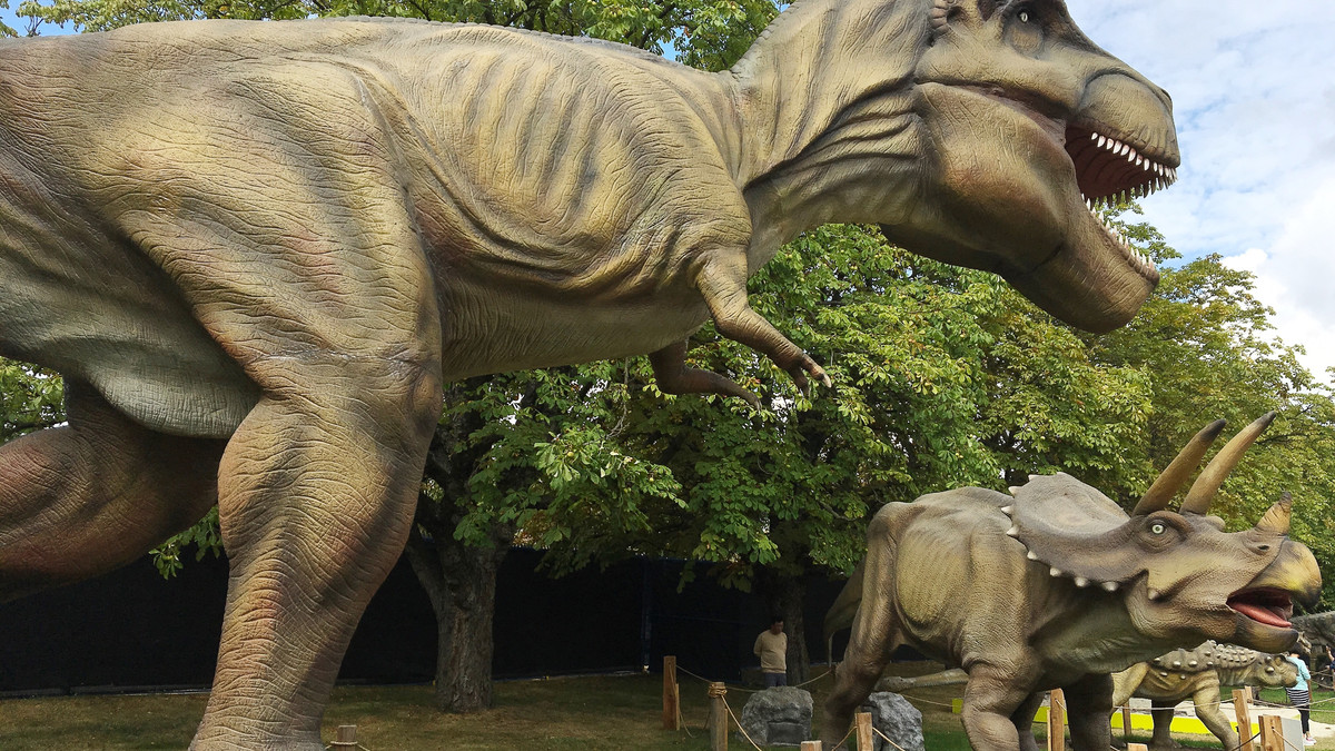 Загалом на торги виставлено 80 моделей динозаврів - фото 1