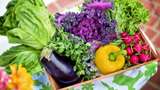 Ось, які сезонні овочі та фрукти потрібно їсти у липні