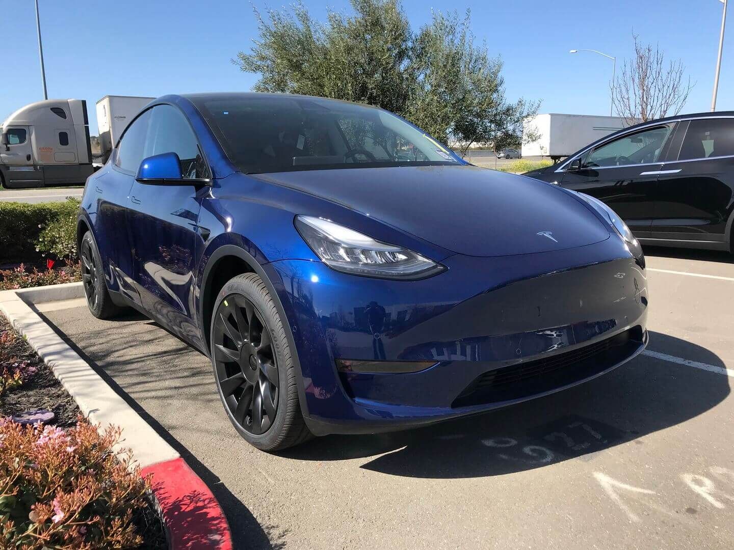 Tesla Model Y - фото 1