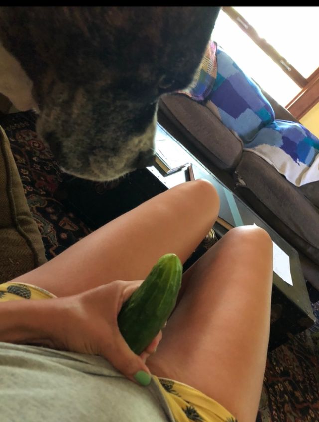 Як правильно робити дікпіки: кумедна інструкція від дівчини на прикладі огірка - фото 416704