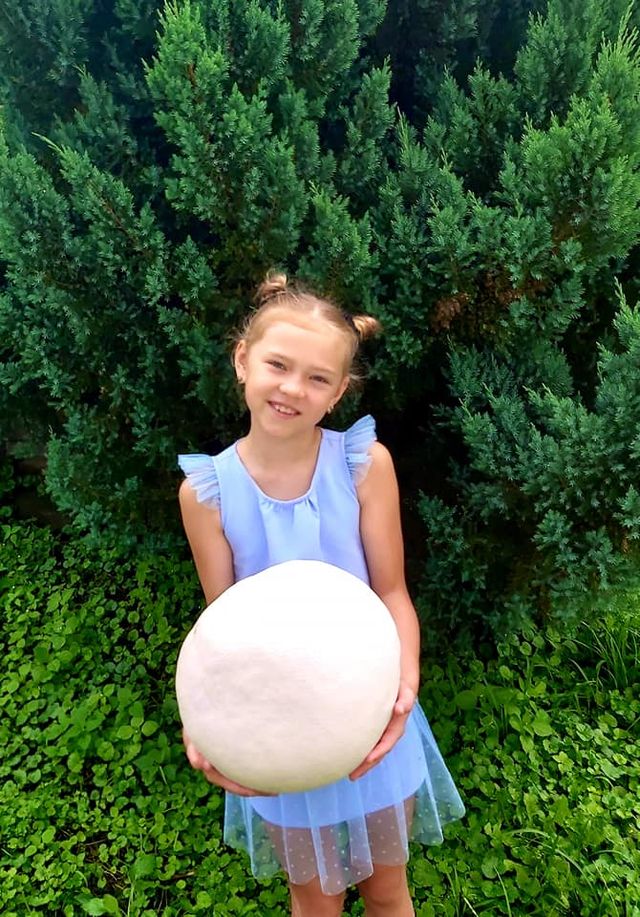 В Україні знайшли гігантський гриб: вражаюче фото - фото 416930