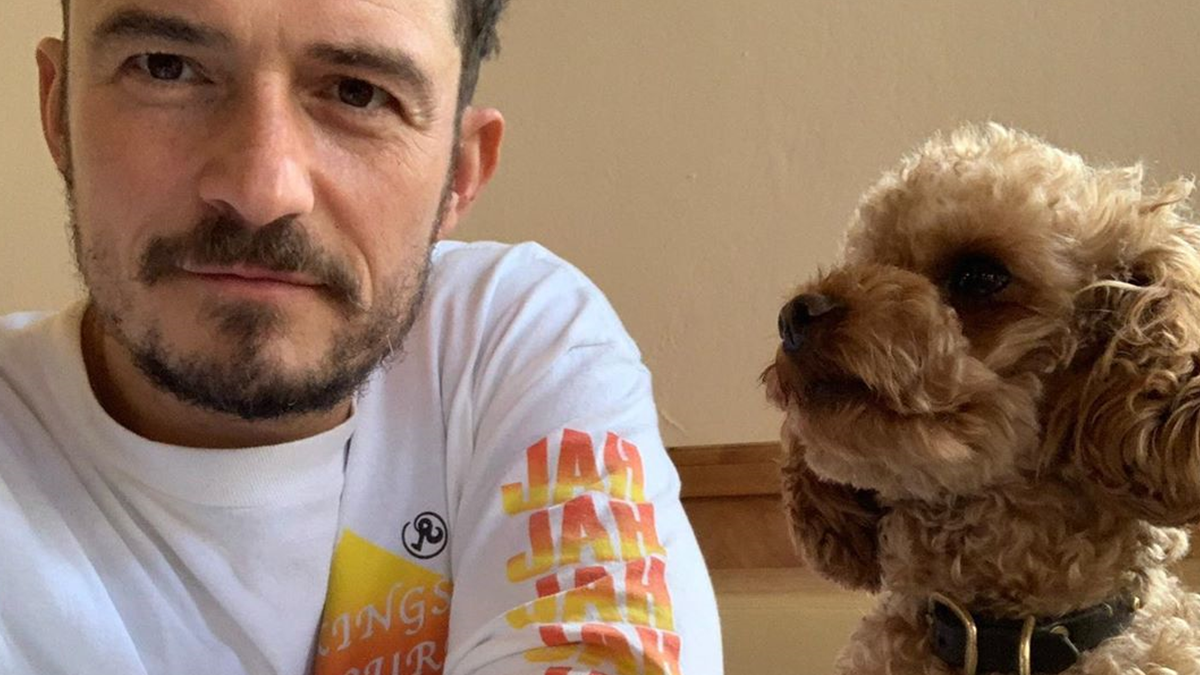 Орландо Блум зробив тату на честь собаки - фото 1