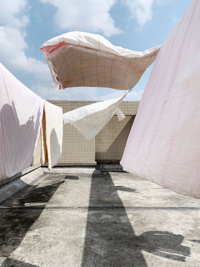 iPhone Photography Awards 2020: найкращі знімки, зроблені на смартфон - фото 417214