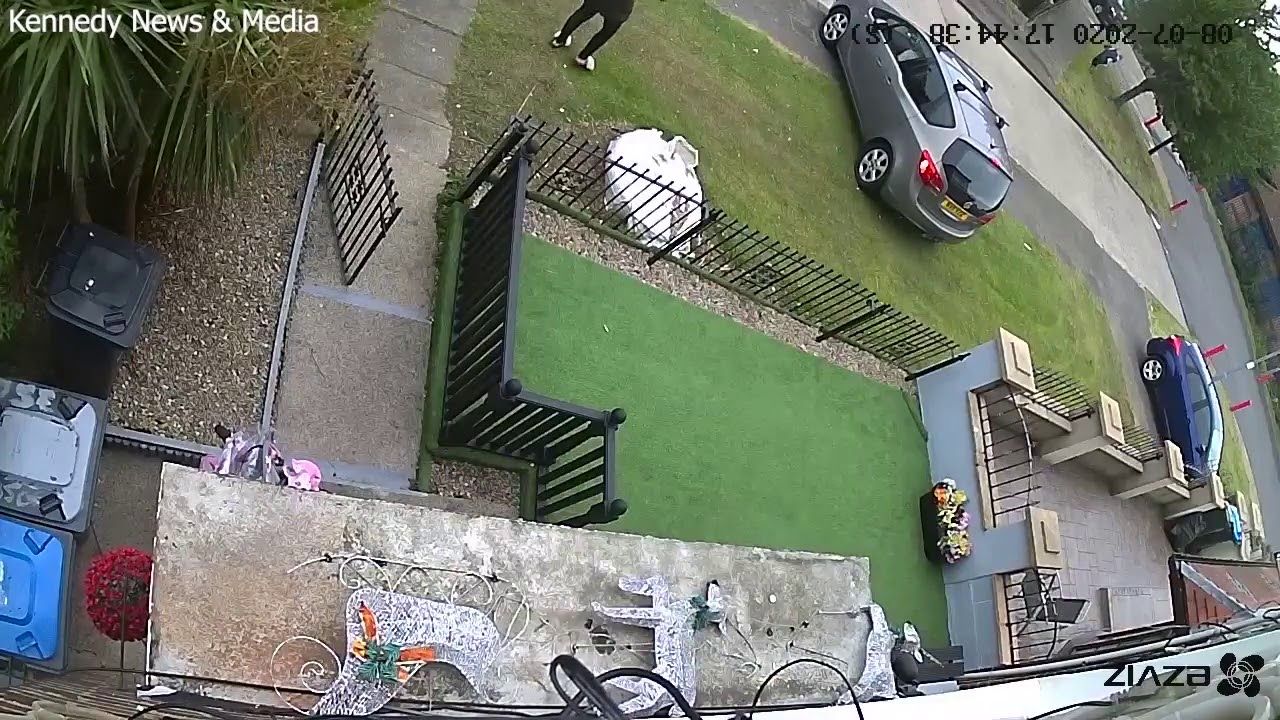 Хлопець хотів врятувати племінницю, але забув про труси (епічне відео)