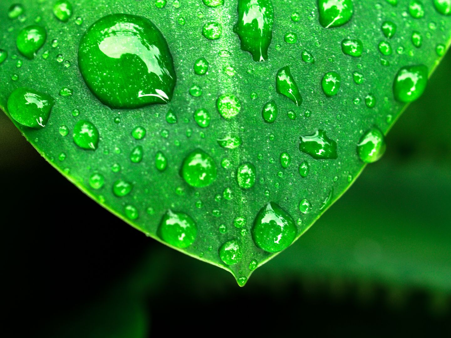 Погода в Україні 27 липня: дощі та спека