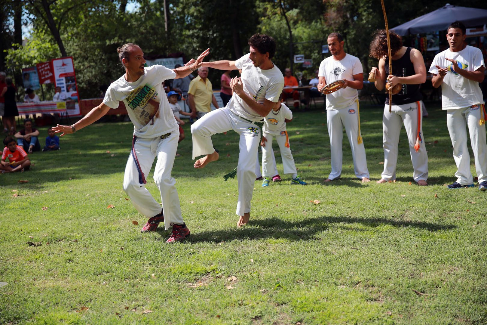 Ідеальна капоейра: як виглядає афробразильське бойове мистецтво (відео)