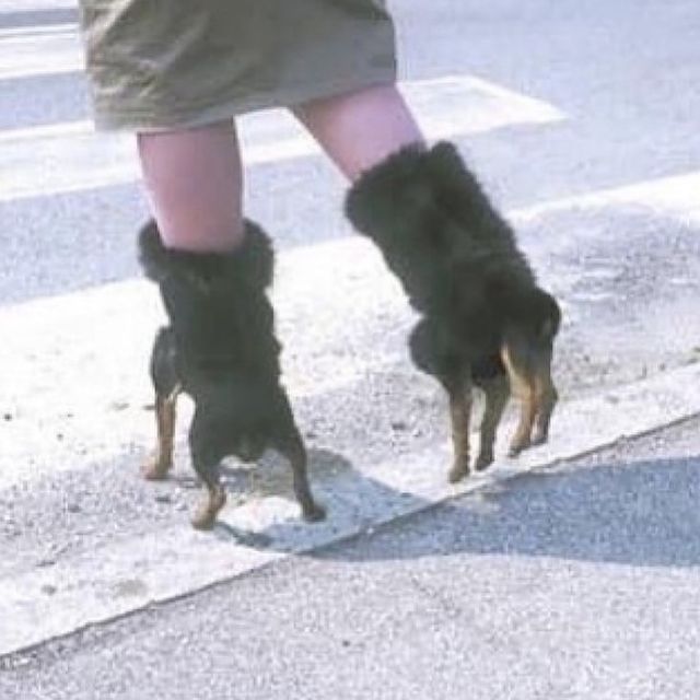 В Instagram набирає популярності сторінка, де колекціонують фото потворних речей - фото 418029