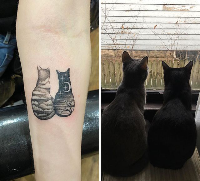 35 крутих тату з котами, які ви захочете зробити і собі: фотодобірка - фото 418130