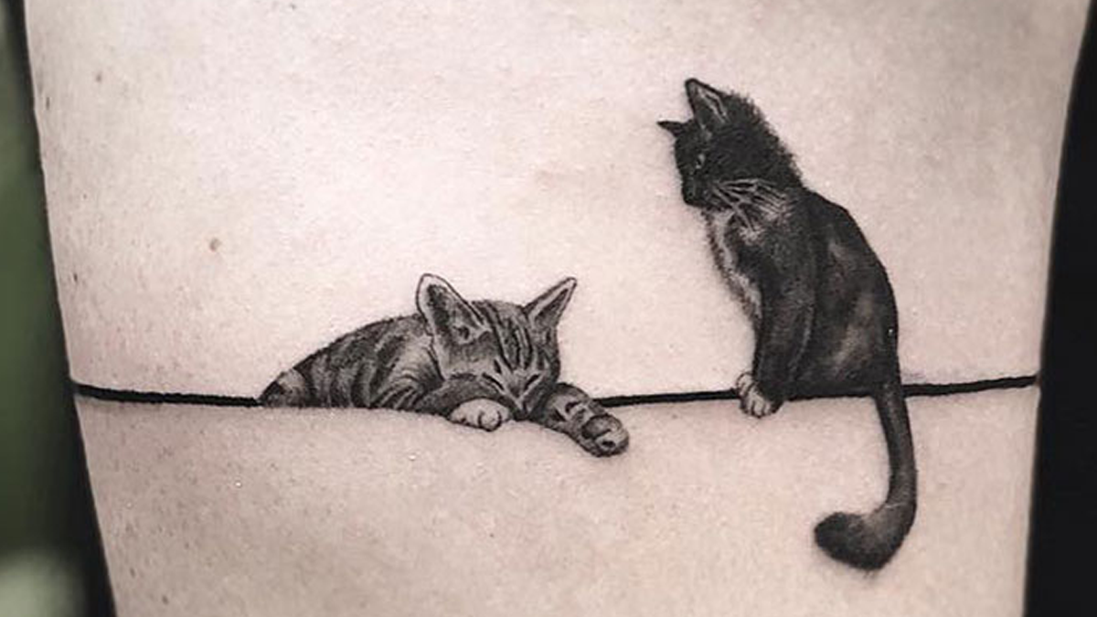 35 крутих тату з котами, які ви захочете зробити і собі: фотодобірка