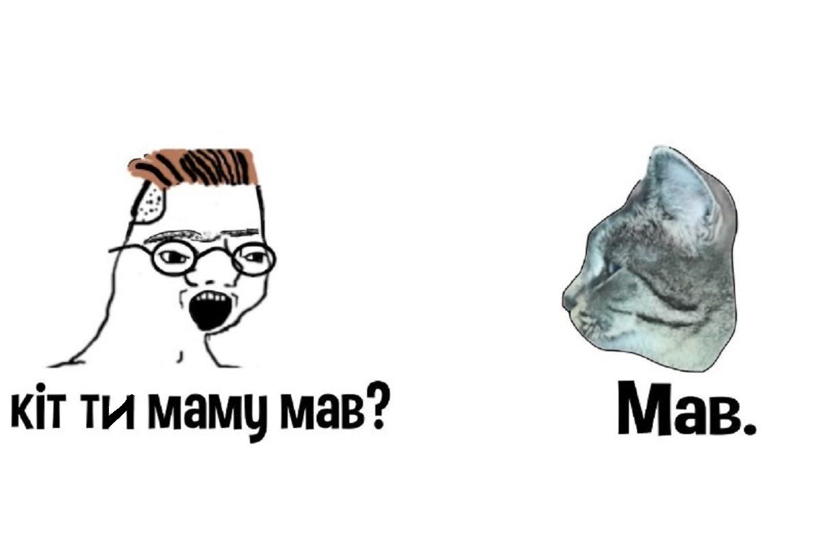 Відео з українським котом, яких усіх "мав", підірвало YouTube: смішні меми