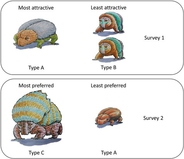 Респонденти вибирали тварин, яким би пожертвували гроші - фото 418354