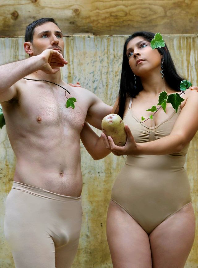 Британці придумали конкурс іронічних фотографій картоплі – дивіться, що з цього вийшло - фото 418432