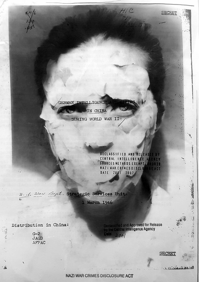 Британці придумали конкурс іронічних фотографій картоплі – дивіться, що з цього вийшло - фото 418435