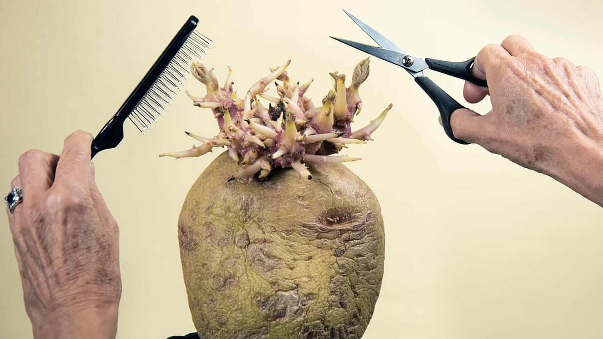 Британці придумали конкурс іронічних фотографій картоплі – дивіться, що з цього вийшло - фото 1