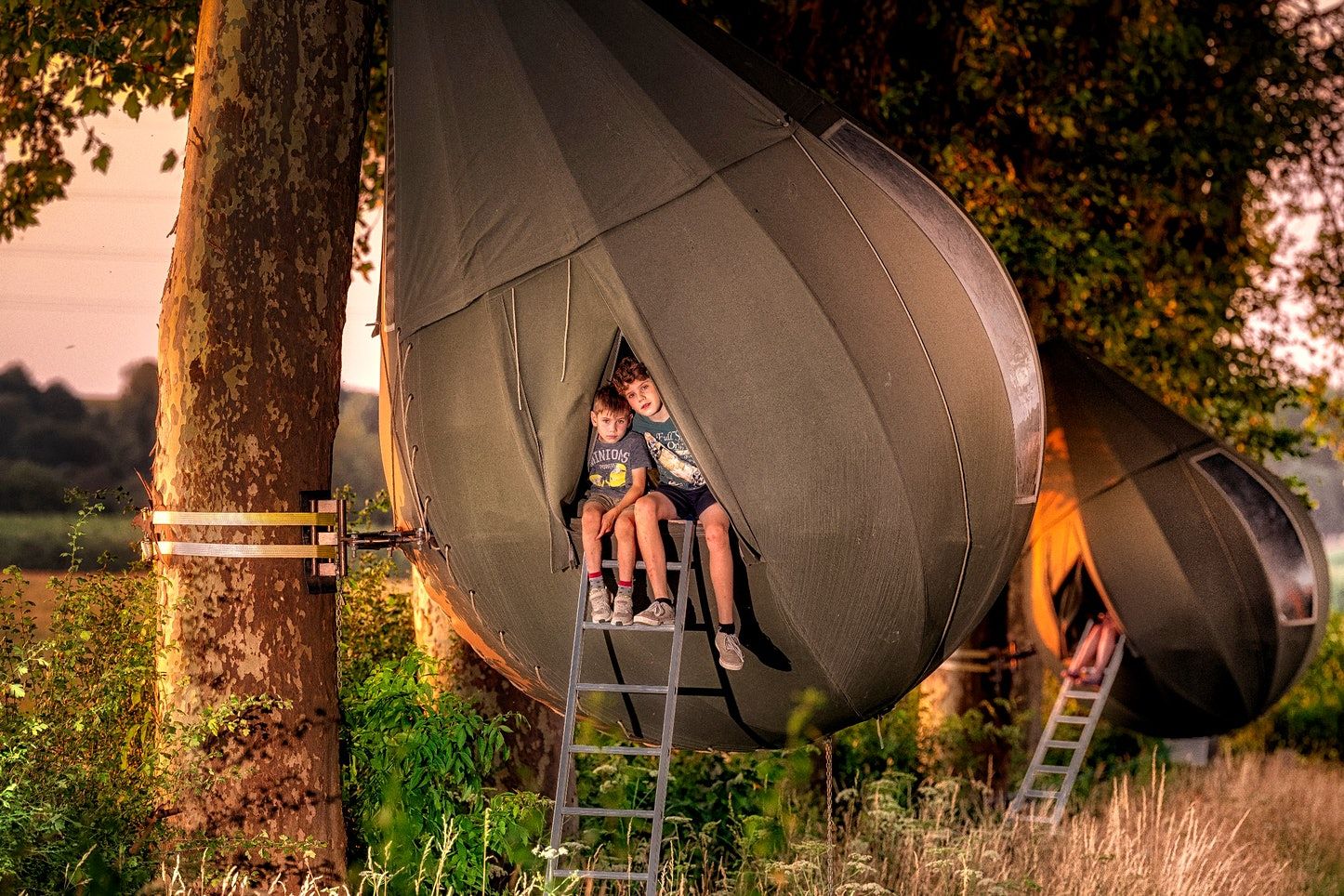 У Бельгії з'явилися намети на деревах: атмосферні фото