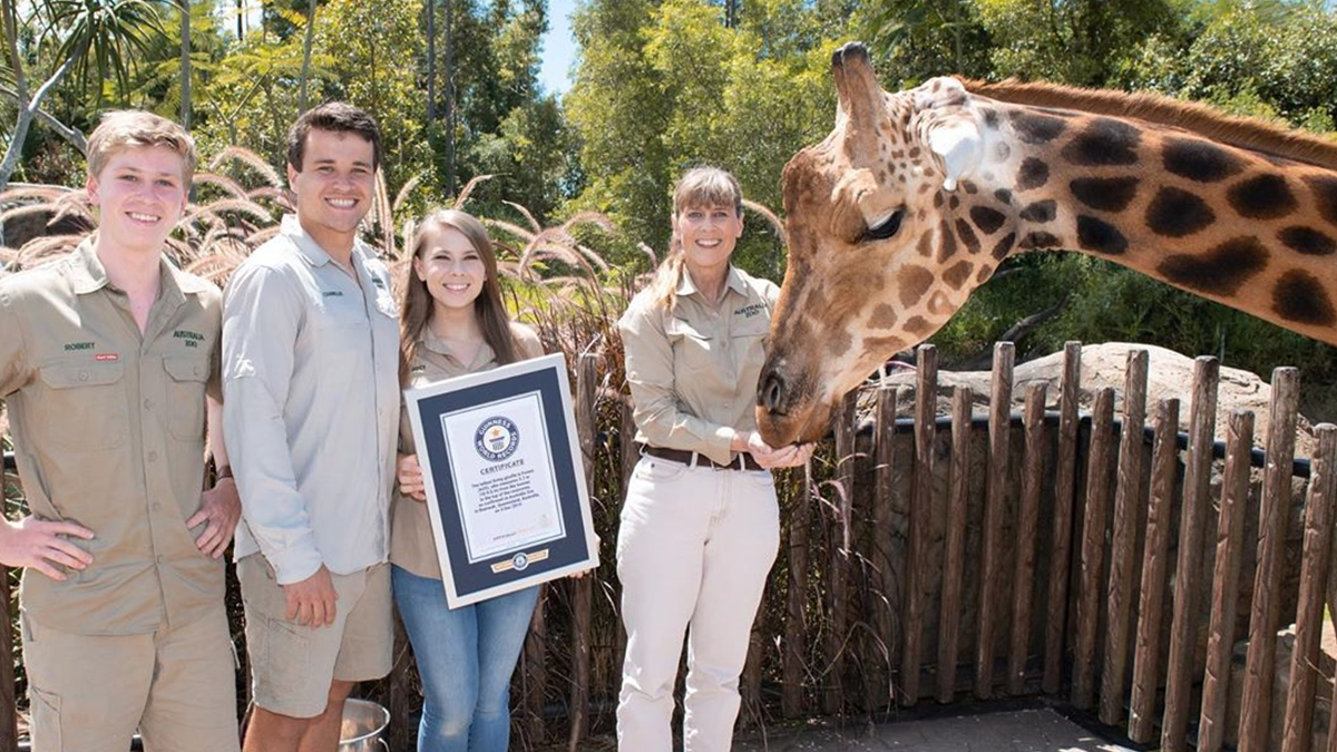 В Австралії знайшли найвищого жирафа у світі: фотофакт