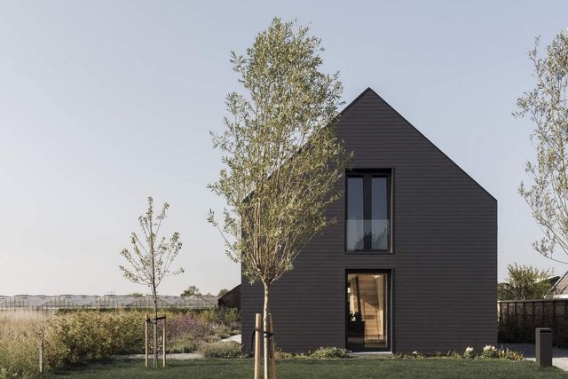 Як виглядає сучасна сімейна вілла у Нідерландах: фото - фото 418776