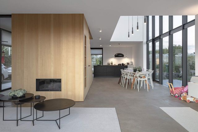 Як виглядає сучасна сімейна вілла у Нідерландах: фото - фото 418780