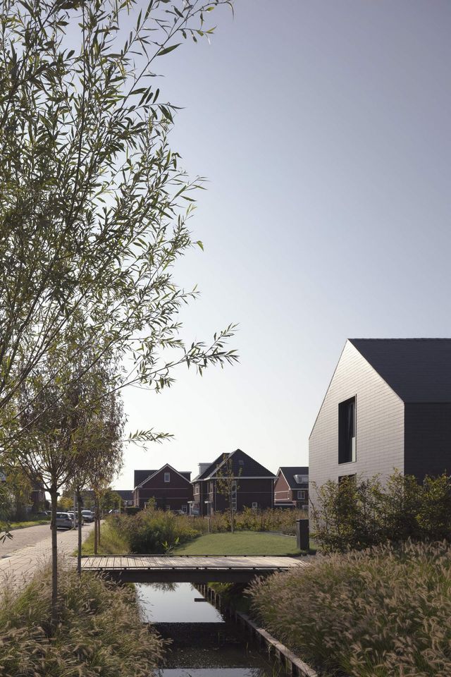 Як виглядає сучасна сімейна вілла у Нідерландах: фото - фото 418789