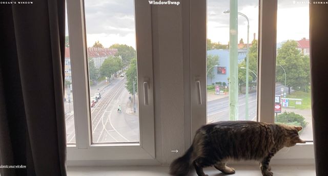 З'явився сайт, де можна дивитися на вид з вікна у будь-якому місті світу - фото 419107