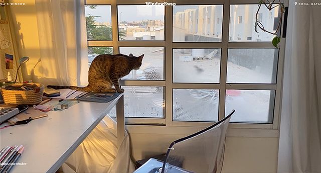 З'явився сайт, де можна дивитися на вид з вікна у будь-якому місті світу - фото 419108