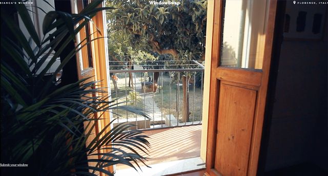 З'явився сайт, де можна дивитися на вид з вікна у будь-якому місті світу - фото 419112