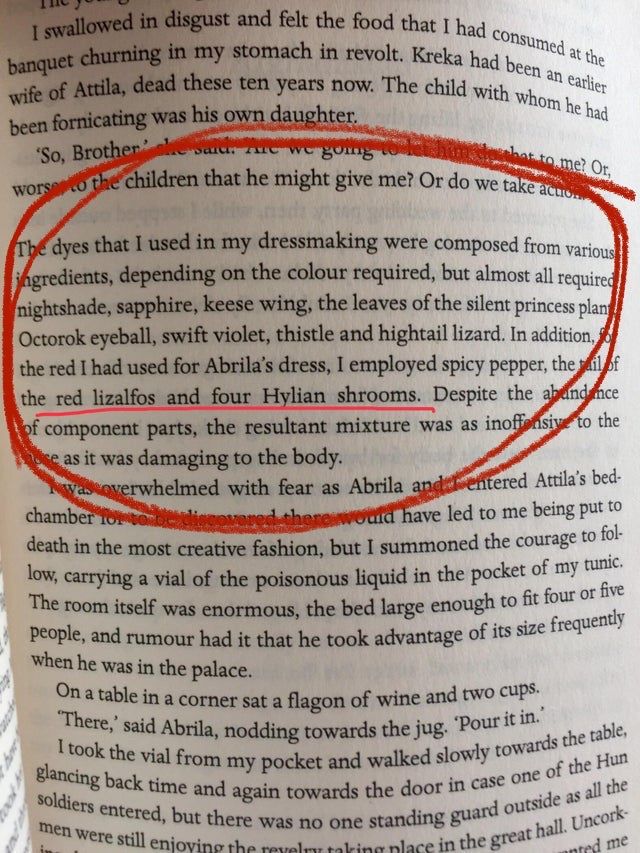 Письменник випадково додав рецепт з відеоігри в історичний роман - фото 419316