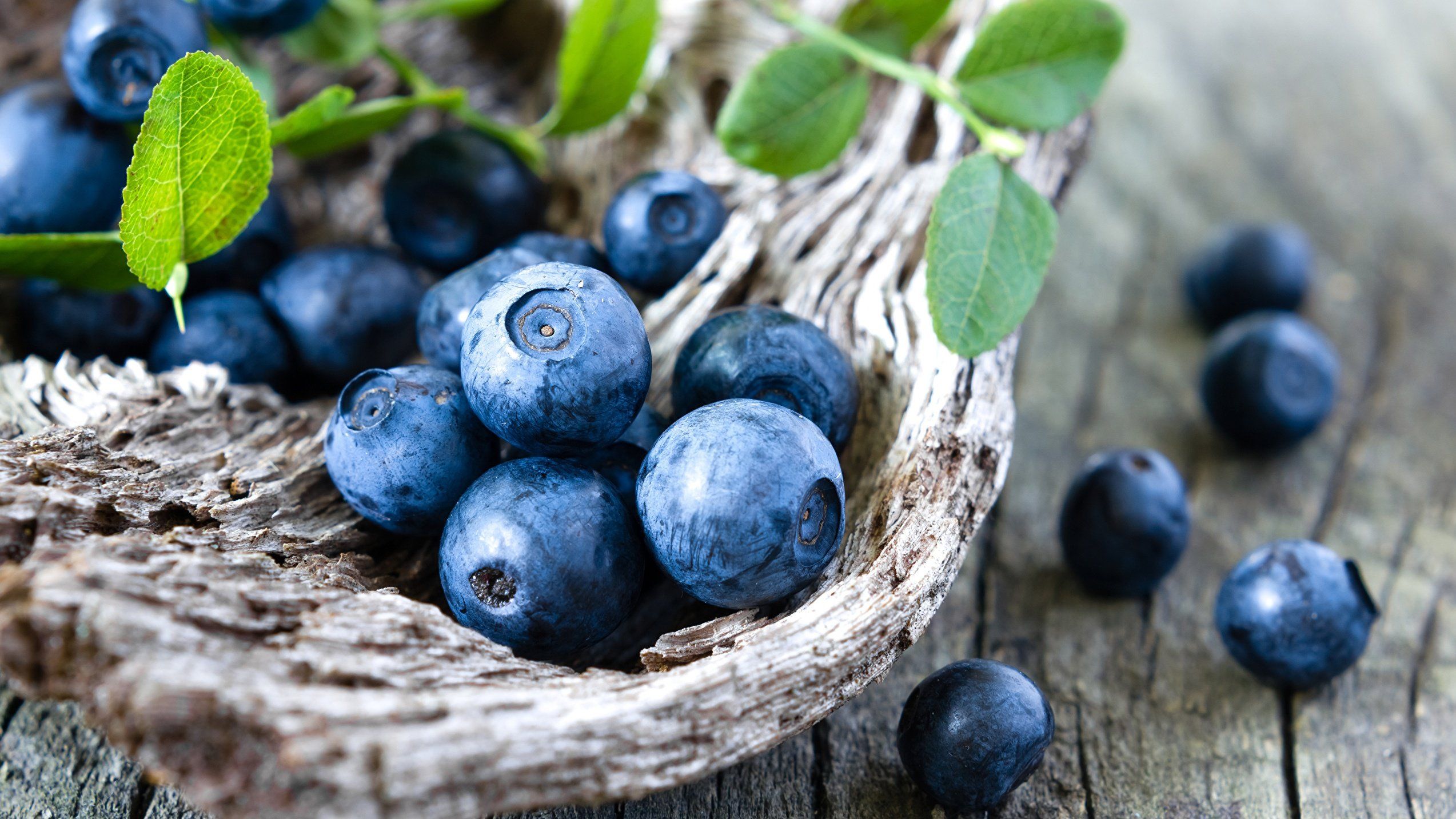 Чорниця не лише смачна, а й дуже корисна - фото 1