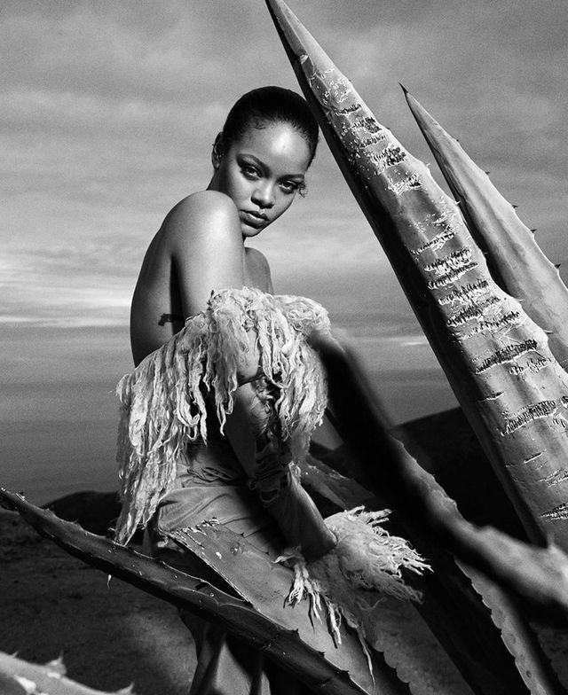 Гламурна Rihanna показала, як треба хазяйнувати вдома - фото 419550