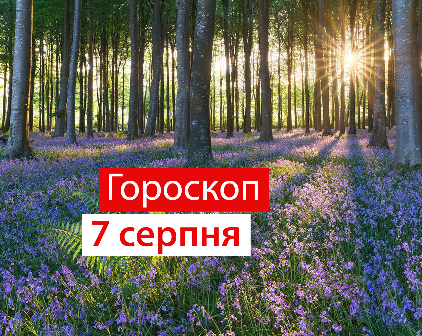 Гороскоп на 7 серпня 2020: прогноз для всіх знаків Зодіаку
