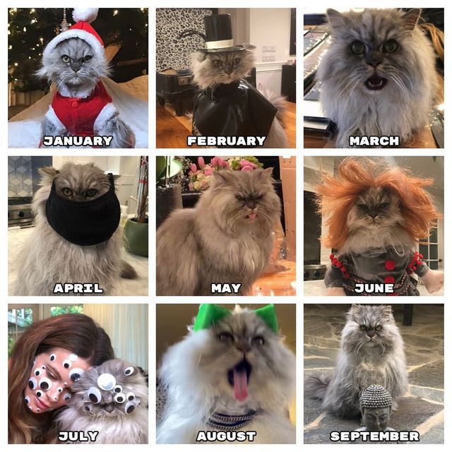 Різ Візерспун показала ідеальний мем 2020 року: його підхопили інші зірки - фото 419626