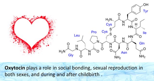 Гормон кохання може бути корисним не лише для настрою - фото 419683
