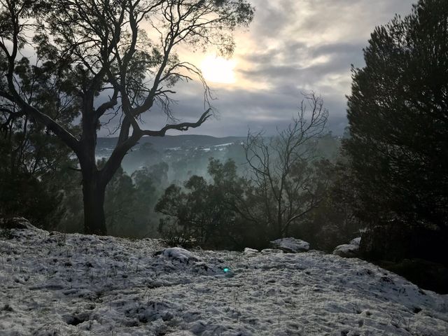 Австралію раптово засипало снігом: фото - фото 419765